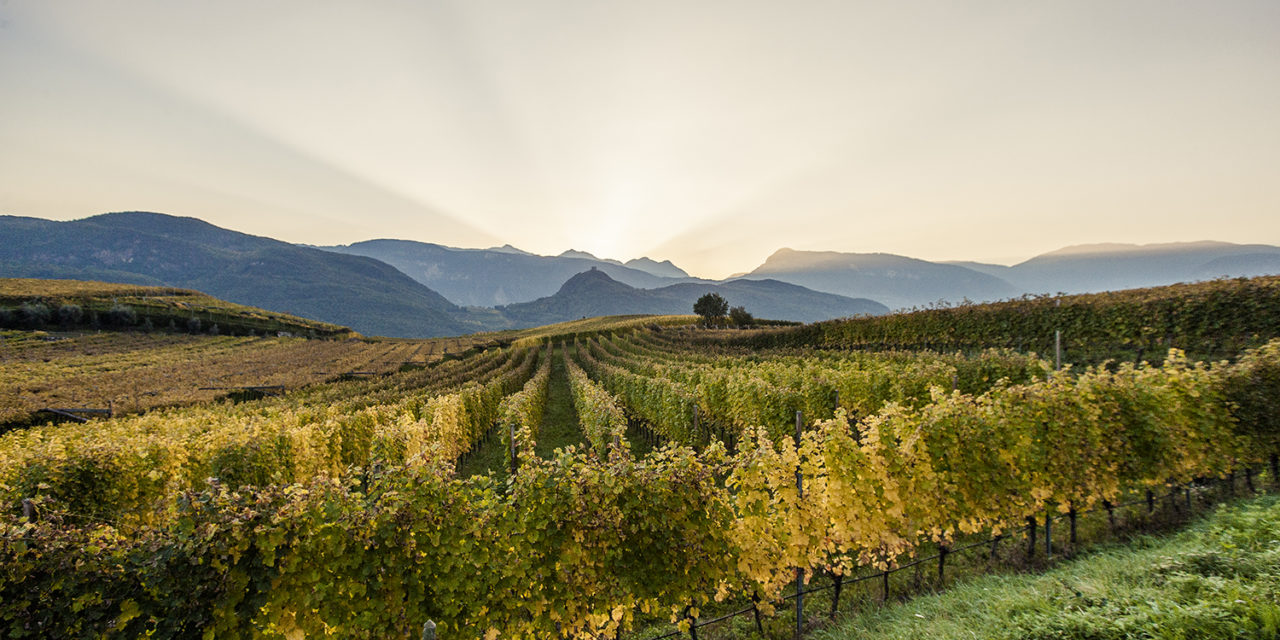 Percorsi di vino in Alto Adige
