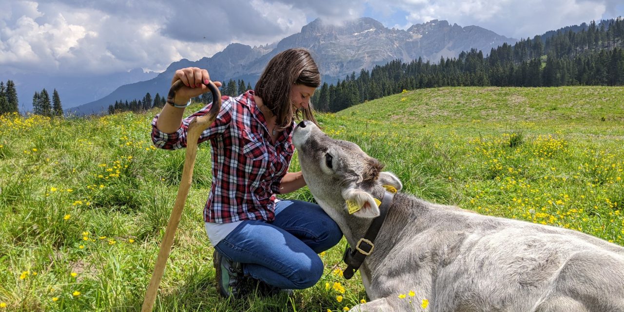 Alla scoperta del latte di montagna con “Think Milk, Taste Europe, Be Smart”